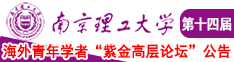 日b水多啊啊啊网页版南京理工大学第十四届海外青年学者紫金论坛诚邀海内外英才！